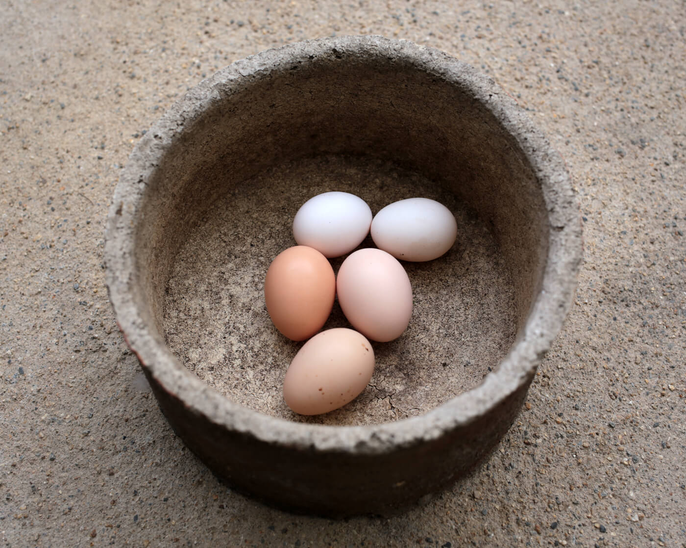 卵のアイキャッチ画像